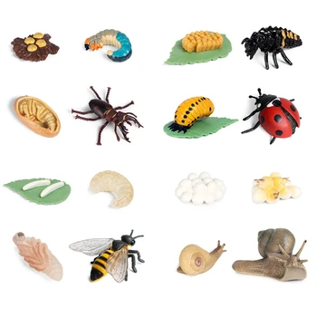 Toy Dyr Vækst Cyklus Livscyklus Modellen Insekt Spider Sneglen Bee Butterfly Simulation Model Action Figurer Undervisningsmateriale