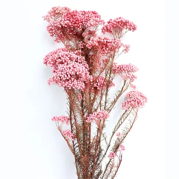 30-45cm Naturlige Plante Tørret Blomst Bevaret Frisk Udødelige Hirse Blomsterbuketter Gave Til Indretning Bryllup Fest Dekoration