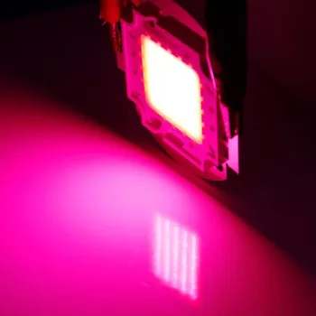 LED cob full sepctrum 10W/20W/30W/50W/100W plante vokser chip Høj Effekt perle Lampe Modul projektør 400-840nm gratis fragt 5pcs