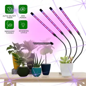 LED-Grow Light USB-Phyto Lampe Fulde Spektrum Fito Lampe Med Kontrol For Planter Frøplanter Blomst Indendørs Drivhus Voksende Lamper