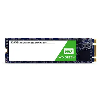 SSD Grønne WD 120GB M. 2 SATA-7mm