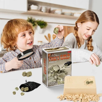 Pædagogisk legetøj grænseoverskridende børn arkæologisk legetøj Manuel DIY arkæologiske udgravning guld, jernmalm toy s