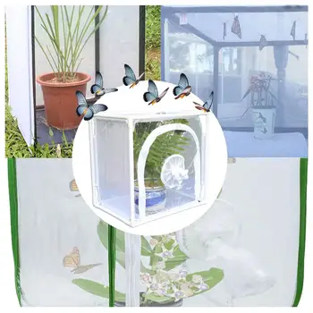 Mini Anti-Koldt Drivhus Anlæg Isolering Kaste Sommerfugl, Et Insekt, Avl Bur Indendørs Og Udendørs Have, Drivhus