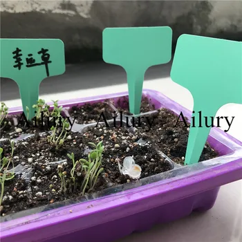 Høj 10cm,50stk/masse,Plast havearbejde T-formet label blomsten såning små skiltning grøn plante saftige potteplanter kort