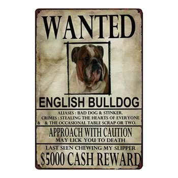 [ Kelly66] Dog engelsk Bulldog Wanied Metal Sign Tin Plakat Hjem Indretning Bar Væg Kunst Maleri 20*30 CM y-2100
