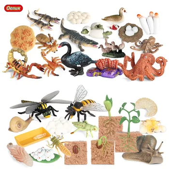 Oenux Dyr Liv Vækst Cyklus Sæt Gård Vilde Sealife Insekt Model Action Figurer Figur Pædagogiske Miniature-Søde Børn Toy