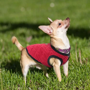 Fransk Bulldog Chihuahua Hund Tøj Pels Pet Tøj Vinter Hvalp Kat Tøj Jakke Til Små Og Store Hunde Katte Vest