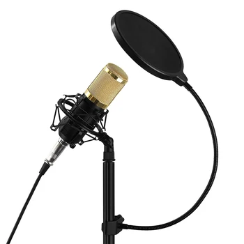 Filter mikrofon/ Forrude med Swivel Mount 360 Fleksibel Holder til blue Mikrofon