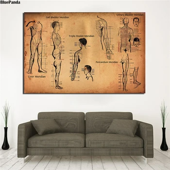 Menneskelige Akupunkturpunkter Plakat Videnskab Og Uddannelse Medicin Malerlærred Soveværelse Væg Kunst, Udsmykning, Billeder, Home Decor