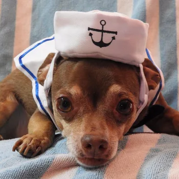 Sjove Kat Kostumer Lille Hund Kanin Tøj Tøj Til Halloween Cosplay Sailor Navy Tøj, Jakke, Kappe Hund Tilbehør