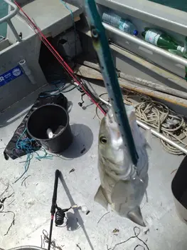 Hunthouse fiskeri må belone lokke 225mm/27g lang støbning blyant stickbaits pesca for fiskeri leerfish og blå fisk