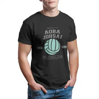 Team Aoba Johsai Casual T-Shirt Hot Salg Haikyuu Tee Shirt, Bomuld, O-Neck T-shirts