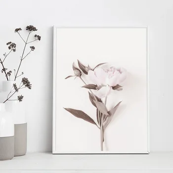 Pink Rose Blomst Plakat Nordisk Stil Botaniske Blomstret Lærred Print Kunst Billedet Enkelhed Vægmaleri Skandinaviske Hjem Indretning