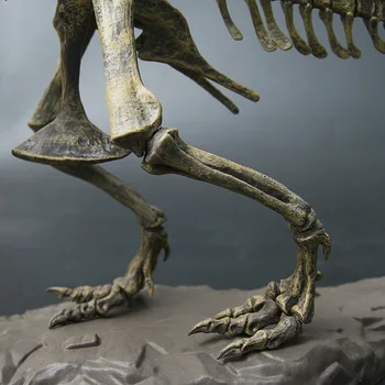 4D Tyrannosaurus Rex Udgravning Science Kit Grave Op Dinosaur og Samle en 4D Skelet Gamle Dyr Fossile Kranium