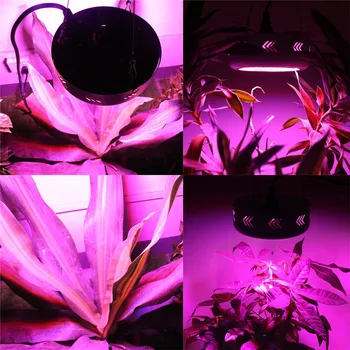 LVJING Led vækst Lys Fulde Spektrum 130/150/216/300W Led Vokse Panel Lampe Til Hydroponics Indendørs Planter Lys Vokse Telt Growbox