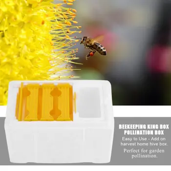 Biavl Værktøjer Skum Bistader Bee Hale Kasser Bee Avl Kasser øvning Boks Sæt