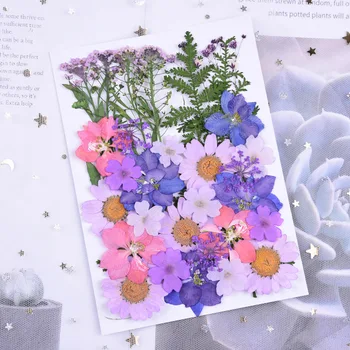 1 Pose Tørrede Blomster, Lilla UV-Resin Dekorative, Naturlige Blomster Stickers 3D Tør Skønhed Epoxy Harpiks Skimmel Påfyldning Smykker at Gøre DIY