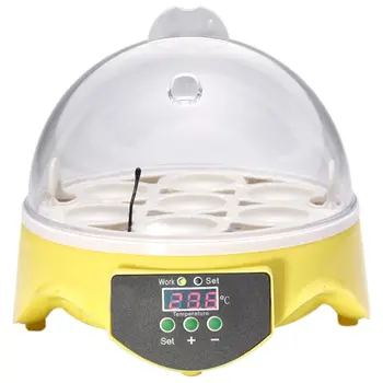 Mini 7 Æg Inkubator Fjerkræ Inkubator Brooder Digital Temperatur, Klækkeri Æg Inkubator Hatcher Chicken And Bird Due EU-Pl