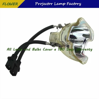 GOD Kvalitet SP-LAMPE-032 Udskiftning Projektor Lampe/Pære Til Infocus IN81/M82/IN82/X10/IN83/IN80