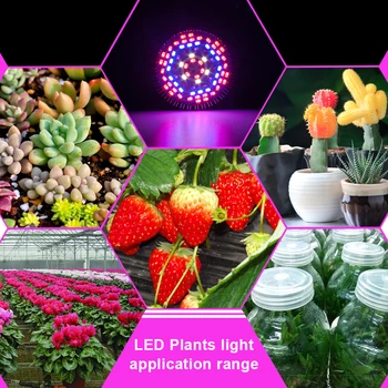 E27 Plante, der Vokser Lampe 30W-50W 80W 700lm/1000lm/1500lm Ultraviolet Fulde Spektrum Blomst Lampe 40/78/120 Led Gro Lys til Planter