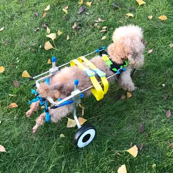 Bistået Gang Pet-Kørestole til Handicappede Bagbenene Justerbar Lille Hund Støtte