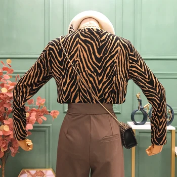 INS Mode Rund Hals Alle-match Zebra T-shirt til Kvinder 2020 Efteråret koreansk-Stil Langærmet Pullover Top Sexet & Club