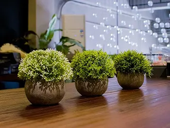 Kunstige Plastik Mini-Planter, Unikke Falske Friske Grønne Græs Blomst I Grå Puljen Til Indretning Af Hjemmet &Oslash; Sæt Med 3 Farverige