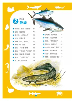 Libros de animales de αμειβομενη chinos, de 8 12 kvinder år bøger livres livros