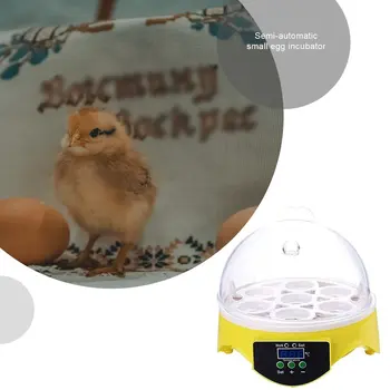 7 Æg Inkubator Fugl, Æg Inkubator Semi-automatisk Miniature Æg Inkubator Due Husstand Væksthuse
