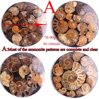 90-100mm Smuk Tobija Fossile Shell Plade Disk Base Mineral Ammonoidea Amonitas Samling Hjem Dekoration Gave