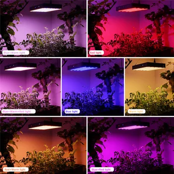 2580 Led Full skærm LED vækst Lys Fulde Spektrum 2500W Timing For Indendørs Plante, Blomst Veg Hydroponics Vokse Telt 7 farveskift