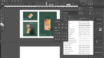 Software InDesign CC 2020 Professionel Side Layout, Design Win/Mac
