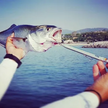 Hunthouse fiskeri må belone lokke 225mm/27g lang støbning blyant stickbaits pesca for fiskeri leerfish og blå fisk