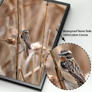 Natur hvede Reed Blade fugl Citat Væg Kunst, Lærred Maleri Nordiske Plakater Og Print Væg Billeder For at Stue Indretning