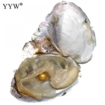 25pcs Blandede Farver 7-8mm Kartoffel Oyster Pearl For Diy Smykker at Gøre ferskvandsperle Elsker Ønsker Perle Østers Vakuum-Pakket