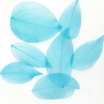 Farvet Diamond Leaf DIY Dekoration til gave Tørret blomst tryk på blomsten, gratis forsendelse, 1 parti/100 Stk