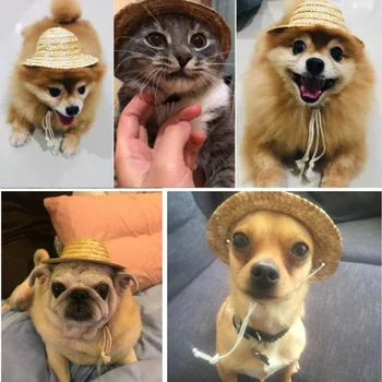 Hund, Kat, Hat Pet Sombrero Hat Lille Hund Udendørs Tilbehør Vandring Pet Products Små/Store Hunde hatte