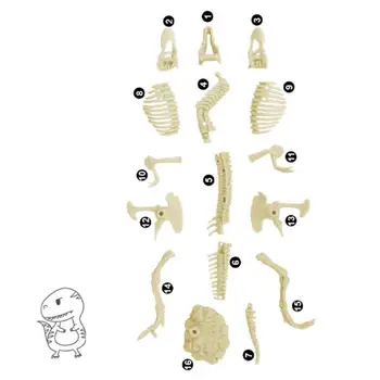 DIY Dinosaur Krokodille Nyhed Grave Fossiler Udgravning Legetøj Børn Læring Pædagogiske Sjove Gaver
