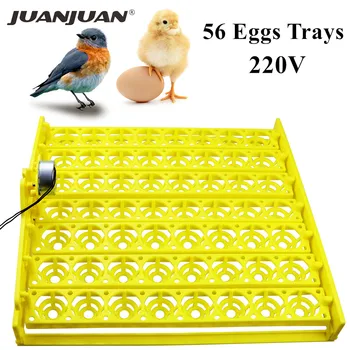 Æg Inkubator Automatisk 56 Plast Fugl, Æg, And, Kylling, Æg, Ruge-Maskine 220V Inkubator Skuffer med Automatisk Sluk Motor 40%off