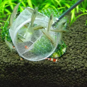 Husstand Svært Fish Net Artemia Filter Rejer Mini Værktøj Pore Bærbare Lille Akvarium Tank Mesh Fisk Fiskeri Tæt V5N7