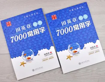 7000 Almindelige Ord Kinesisk Skrift Bog for Udenlandske Kinesiske Kærester