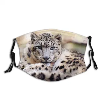 Snow Leopard Maske Kvinder Genanvendelige Anti Tåge og Anti Støv Beskyttelse Åndedrætsværn Maske med Filtre