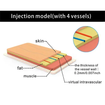 Venepunktur Iv injektion Uddannelse Pad Model, Silikone Hud Sutur Uddannelse Model, injektion Praksis Pad, 4 Vener Imbed