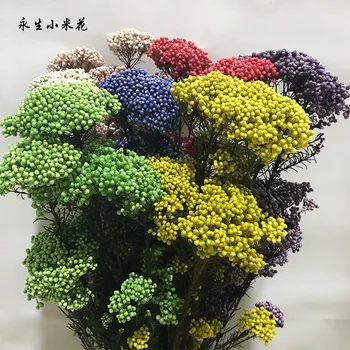 30-45cm Naturlige Plante Tørret Blomst Bevaret Frisk Udødelige Hirse Blomsterbuketter Gave Til Indretning Bryllup Fest Dekoration