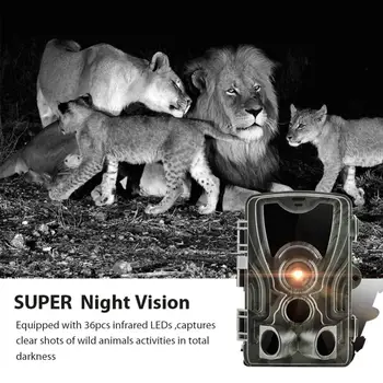 Suntek HC801A 801m 801g: 4g på Jagt 16MP Kamera Trail Kamera nattesyn vandtæt Dyreliv foto-fælder Kamera Chasse Spejdere
