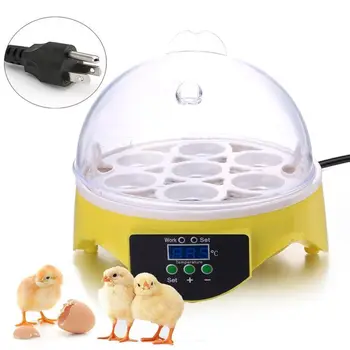 Mini 7 Æg Inkubator Fjerkræ Inkubator Brooder Digital Temperatur, Klækkeri Æg Inkubator Hatcher Chicken And Bird Due EU-Pl
