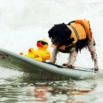 Dog Veste Offentlig Hund Klud Float Hvalp Redde Svømning Bær Tøj Vest Redningsvest Til Hunde #1