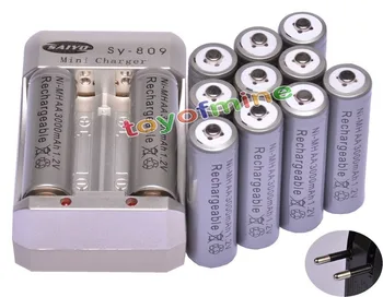 12x AA-3000mAh 1,2 V Ni-MH Genopladeligt Batteri Grå for RC Legetøj Kamera + Oplader + Stik