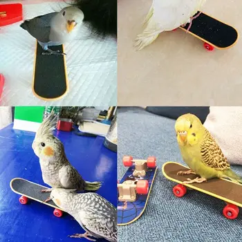 5Pcs/Sæt Parrot Uddannelse Legetøj Mini Indkøbskurv Uddannelse Ringe Skateboard Stå 95AA