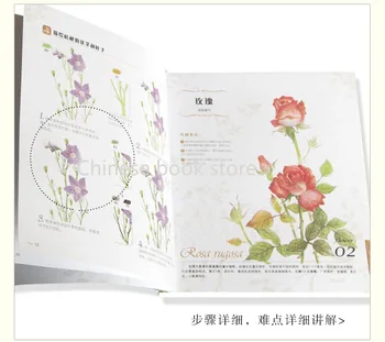 Booculchaha Kinesiske farve blyant bog for selv-lærende blomst maleri farve blyant tegning kunst bog , lære tilføje farve